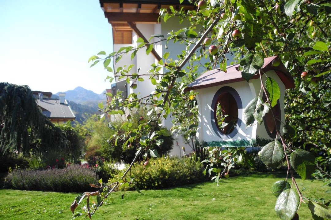 Photo of Others in Serfaus