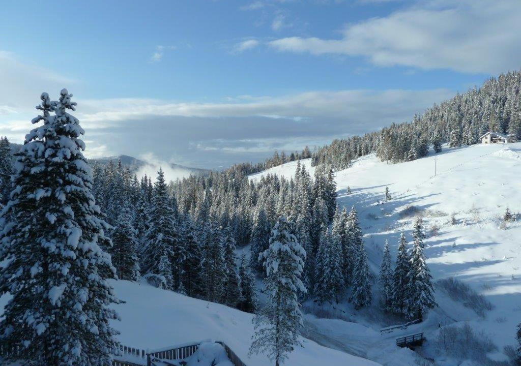 Photo of Outdoor in Schonberg