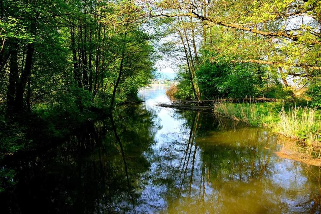 Photo of Others in Steindorf am Ossiacher See