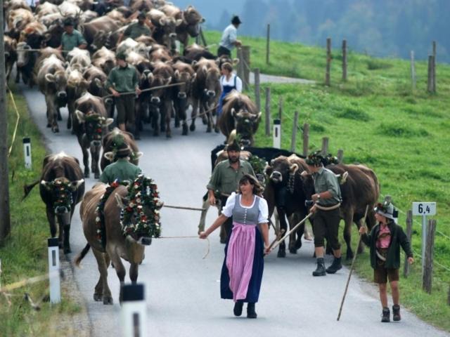 Photo of Others in Sibratsgfaell