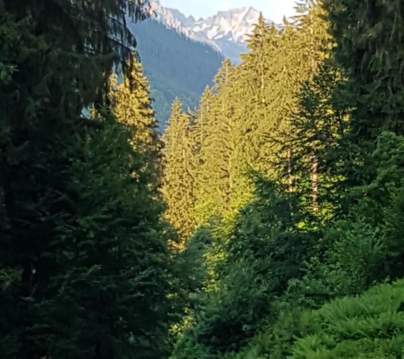 Photo of Others in Klosterle