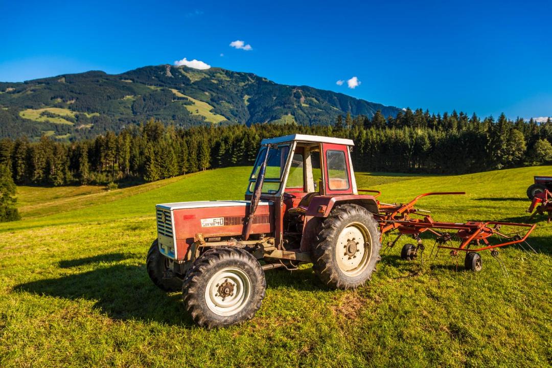 Photo of Others in Saalfelden am Steinernen Meer