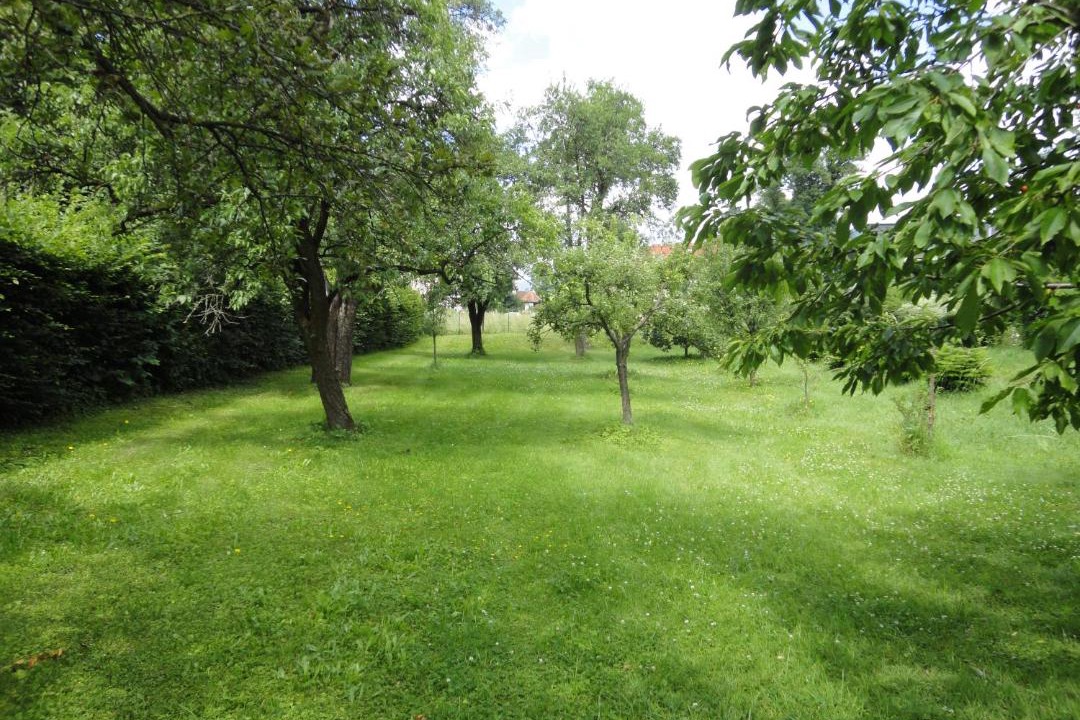Photo of Others in Knittelfeld