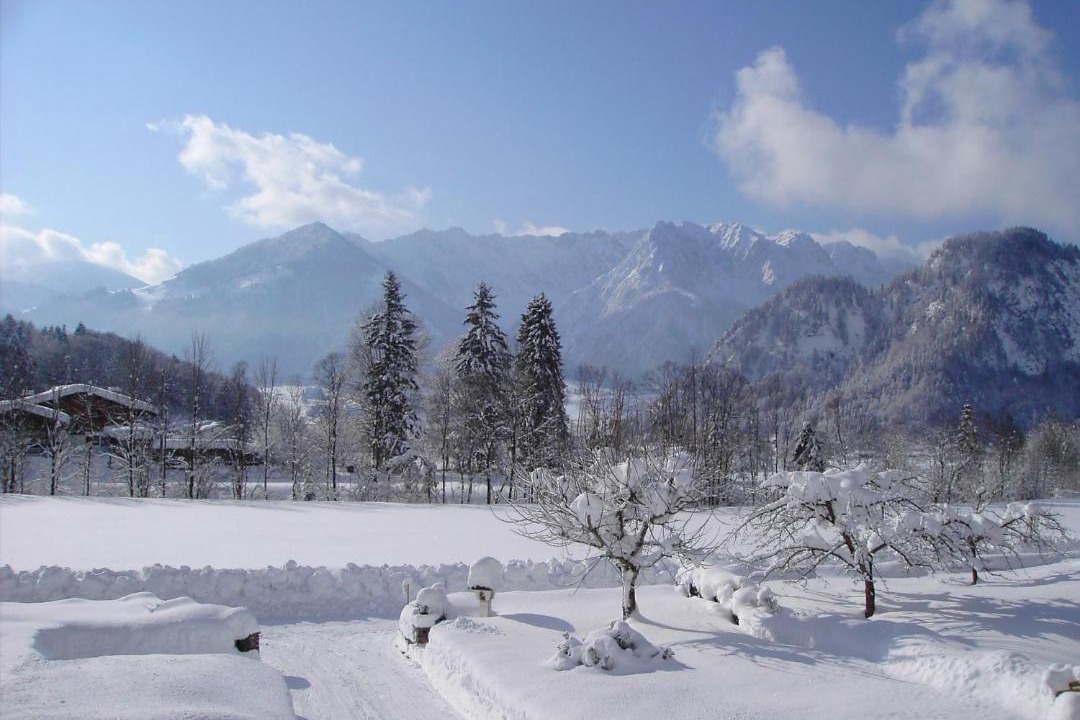 Photo of Others in Walchsee