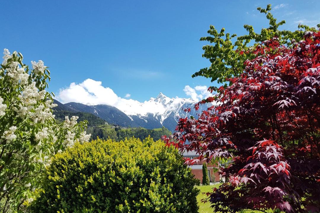Photo of Others in Sautens