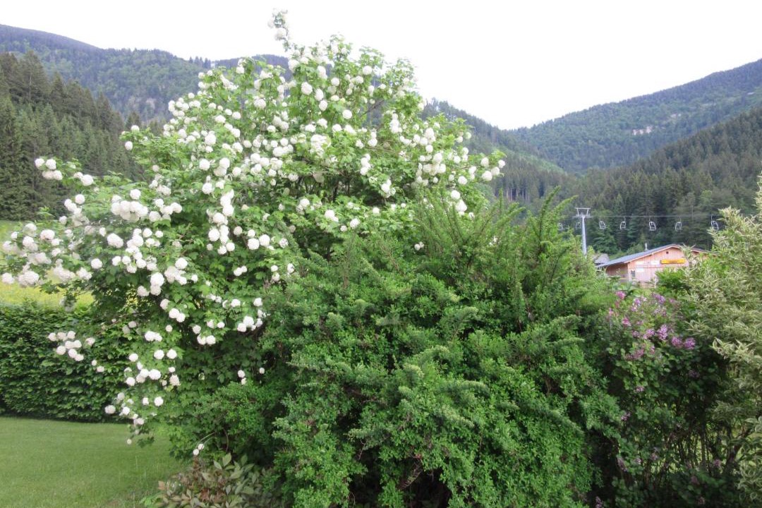 Photo of Others in Lackenhof