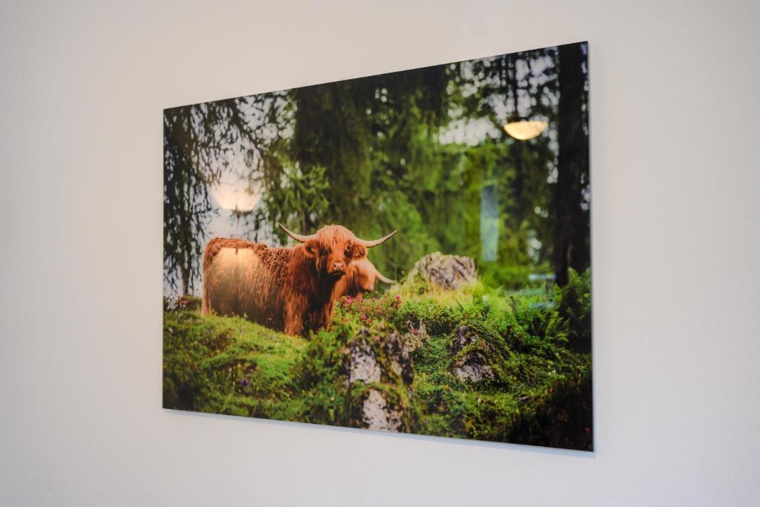 Photo of Others in Obertauern