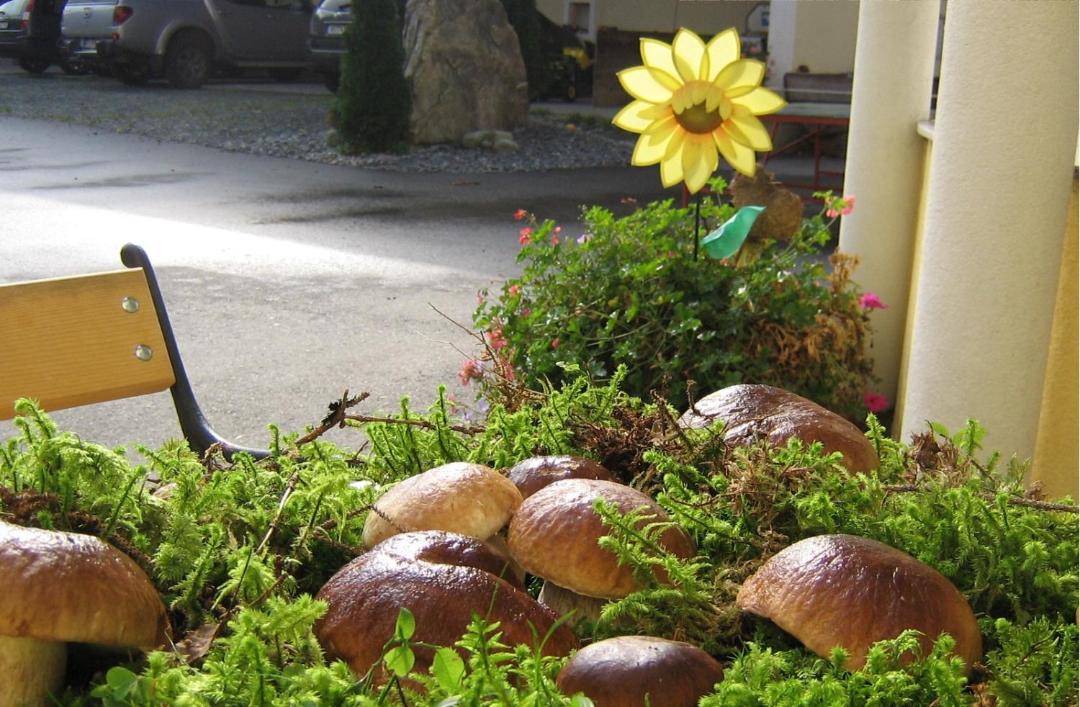 Photo of Others in Agsdorf