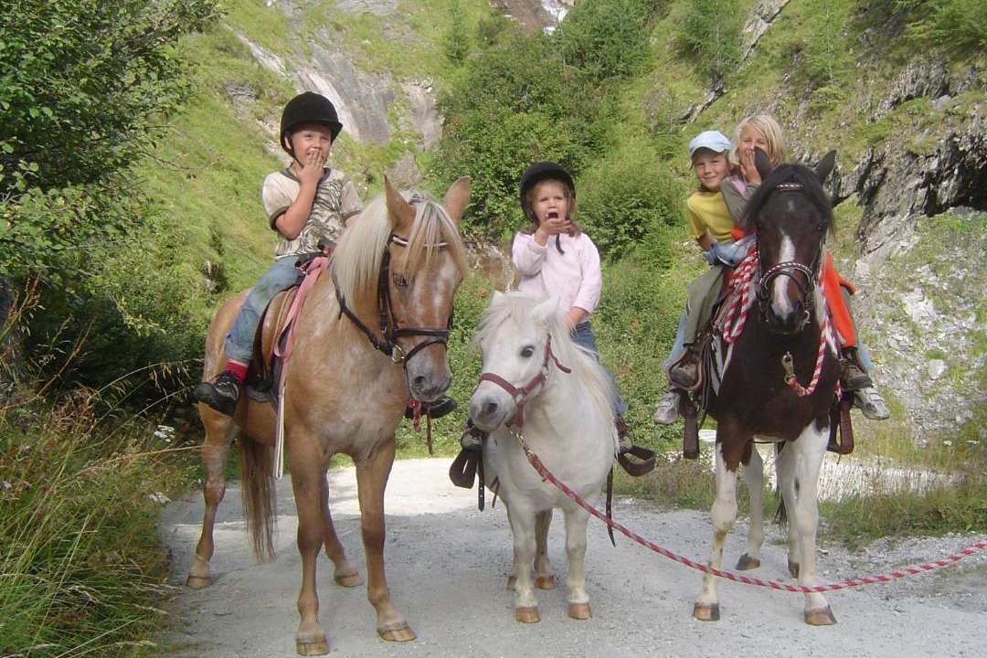 Photo of Others in Tamsweg