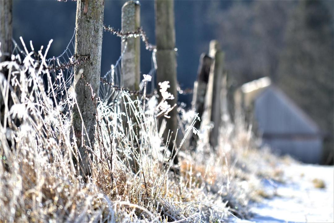 Photo of Others in Schwarzau im Gebirge