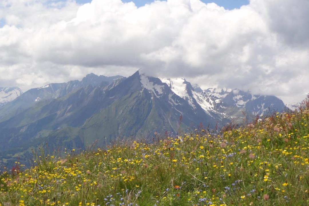 Photo of Others in Matrei in Osttirol