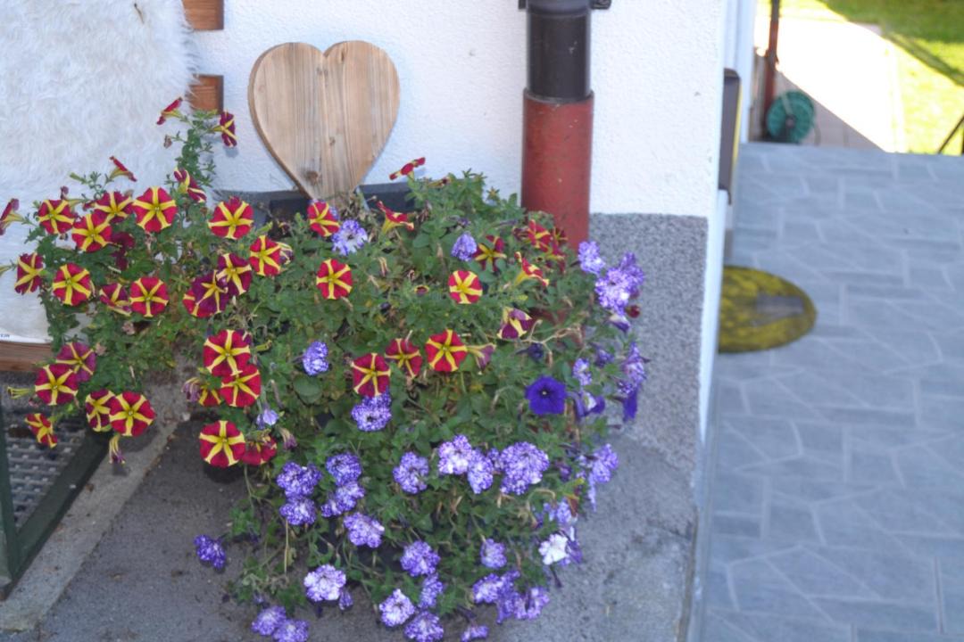 Photo of Others in Neustift Im Stubaital