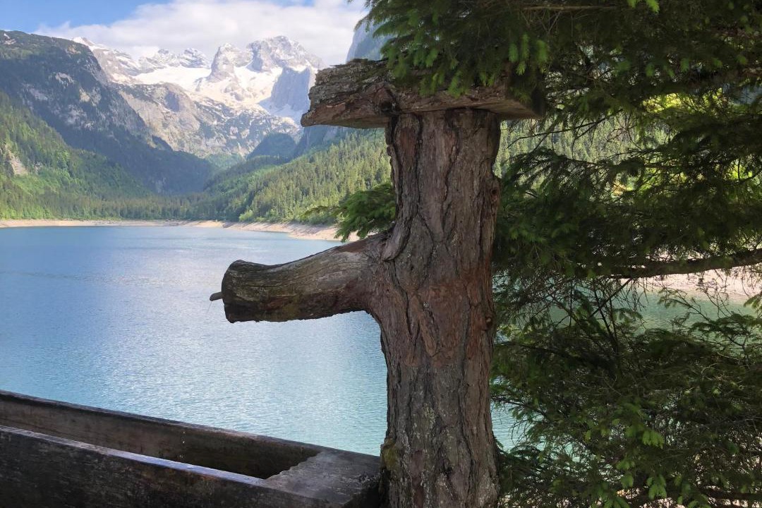 Photo of Others in Gosau