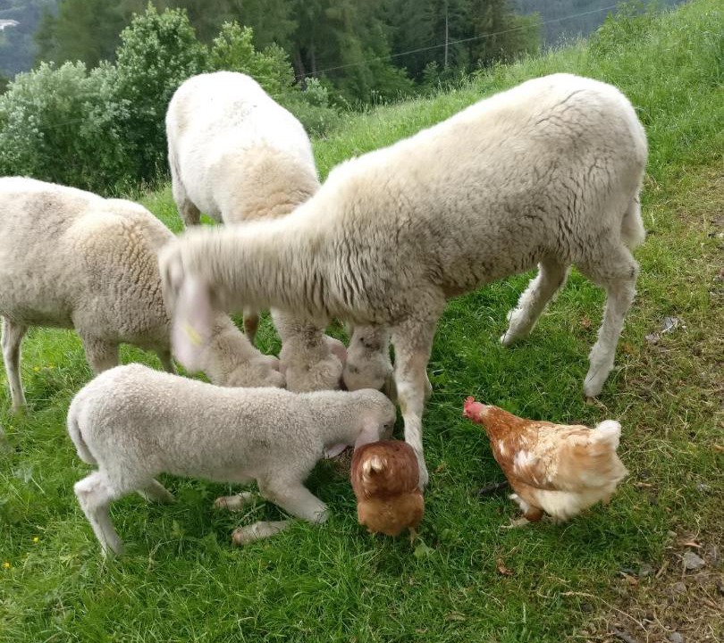 Photo of Others in Kreith
