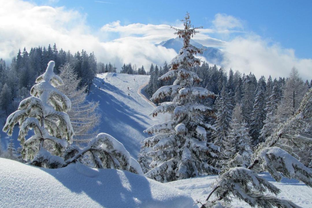 Photo of Others in Seefeld in Tirol