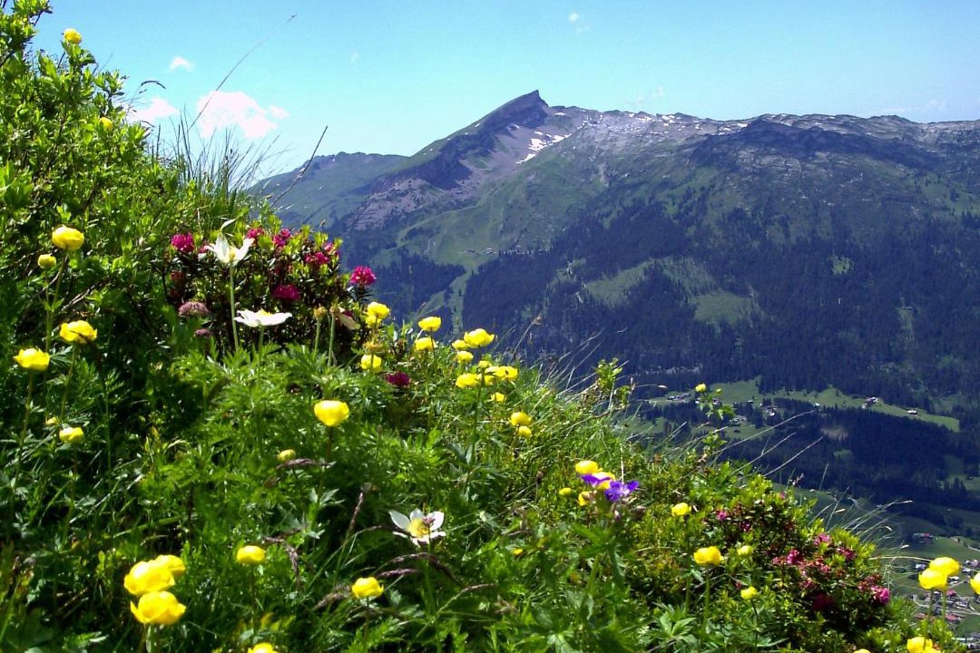 Photo of Others in Riezlern