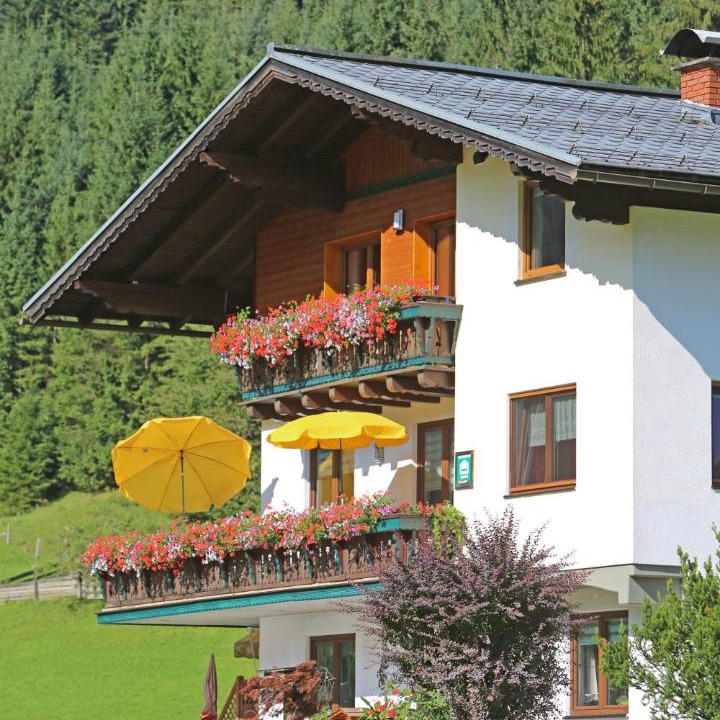 Photo of Others in Gosau-Hintertal