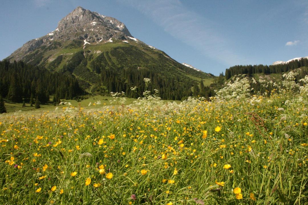 Photo of Others in Lech am Arlberg