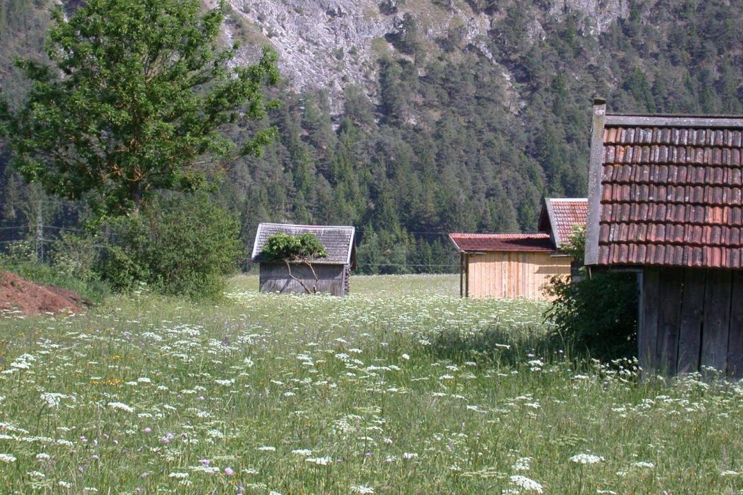 Photo of Others in Imst