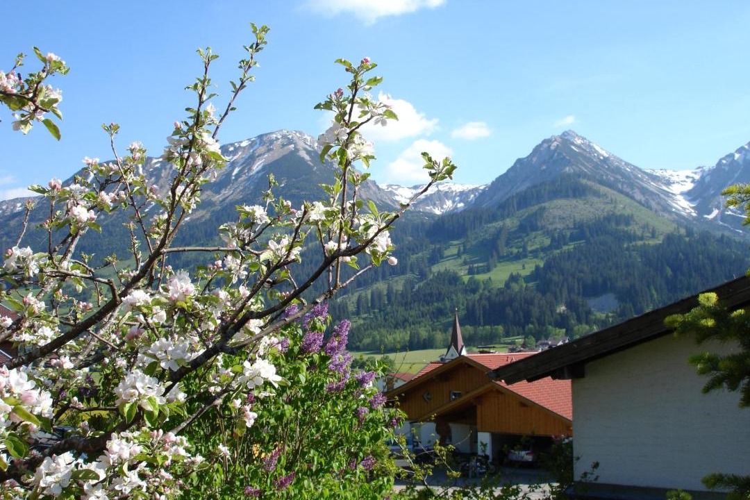 Photo of Others in Schattwald