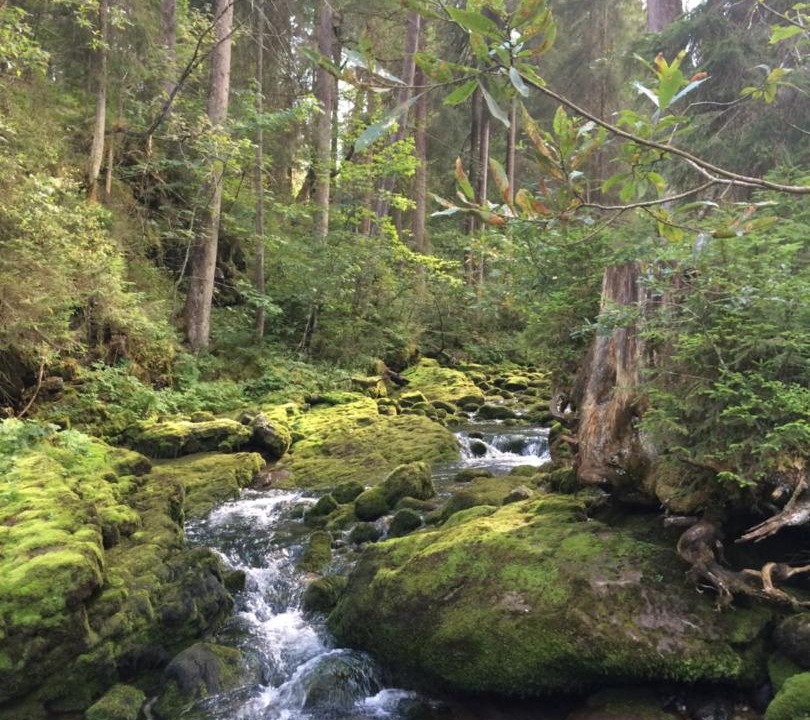 Photo of Others in Riezlern