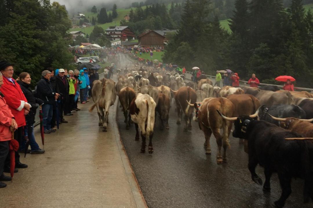 Photo of Others in Riezlern