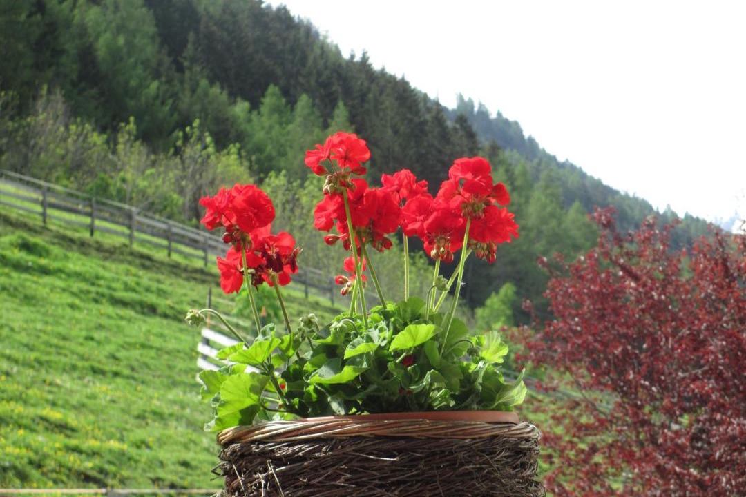 Photo of Others in Arzl im Piztal