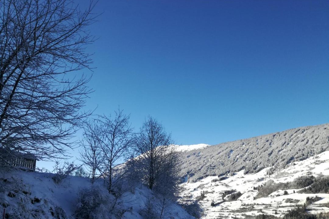 Photo of Others in Arzl im Piztal