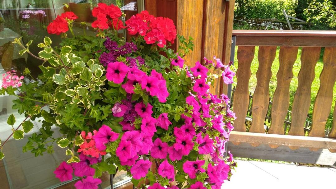 Photo of Patio Balcony in Obertraun