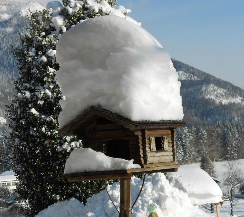 Photo of Others in Sankt Wolfgang im Salzkammergut