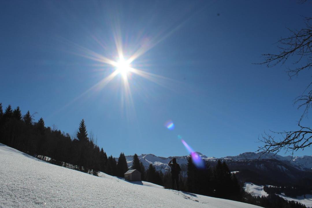 Photo of Others in Sibratsgfaell