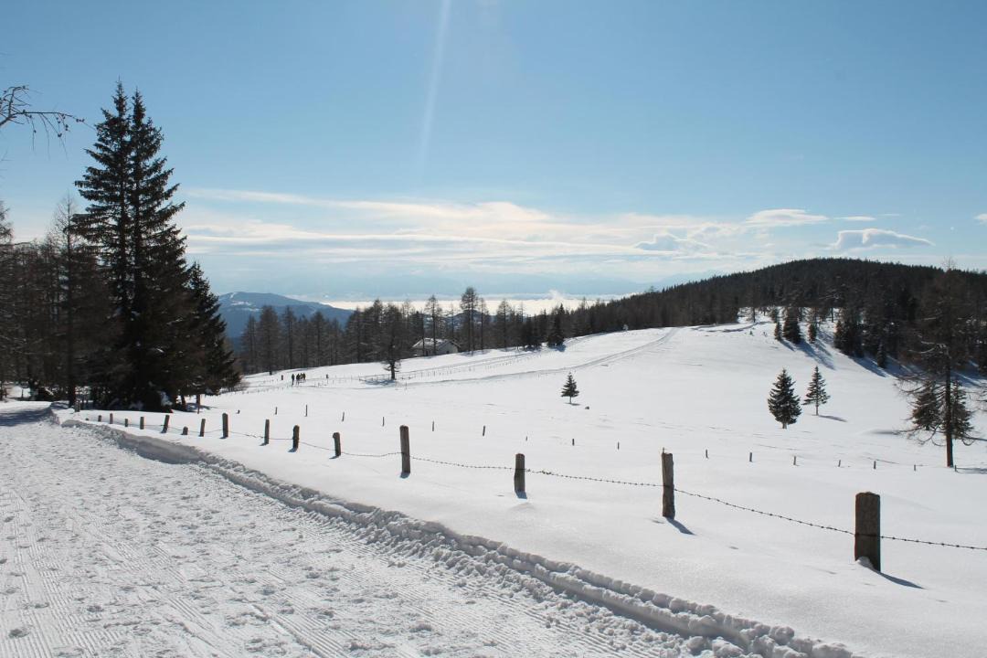Photo of Others in Hochrindl