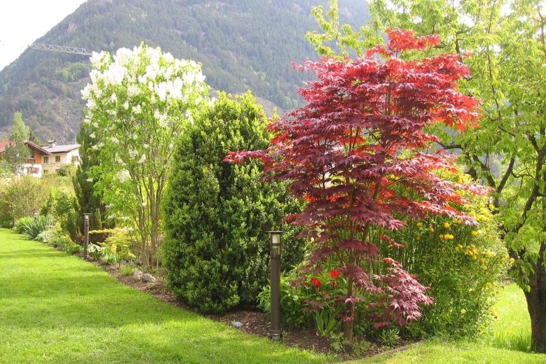 Photo of Others in Sautens