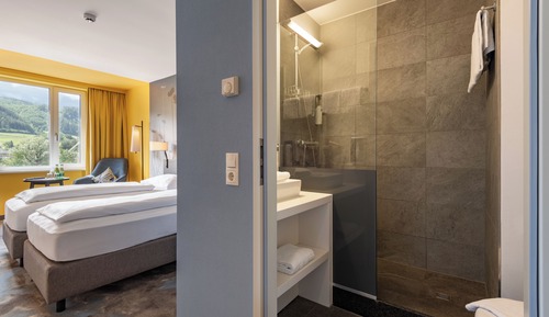 Superior Double or Twin Room, Mountain View