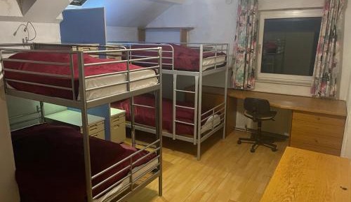Bed in 4-Bed Dormitory Room