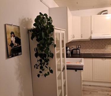 Seekirchen Markt Apartment | Ferienwohnung am Wallersee Zwischen See und Stadt