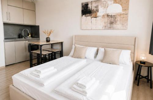 Innere Stadt Apartment | LINZ BASE STUDIO Business and Leisure, City Center