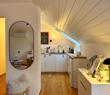 Tentschach Apartment | Landhaus Wulfenia - APARTMENT KLAGENFURT - Private Sauna, Smart-TV, Air Conditioning, Free Parking