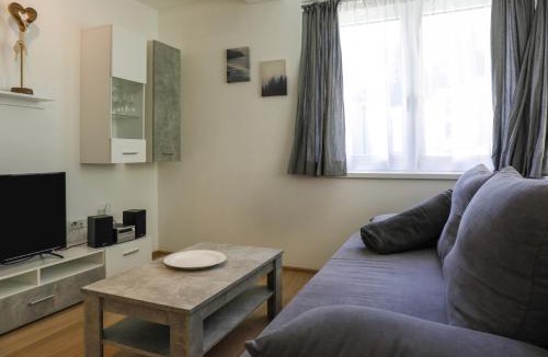 Muhlbachl Apartment | Apartment Habicht