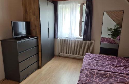Hall bei Admont Apartment | Ferienwohnung Anastasia