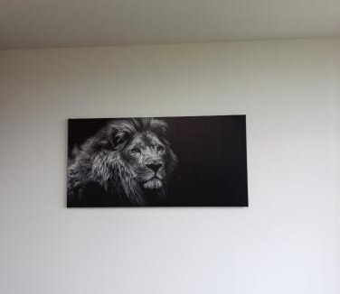 Aigen im Ennstal Apartment | Bergpanorama zum Grimming Appartement Ferienwohnung Pichlarn