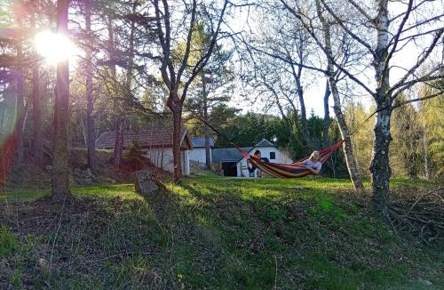 Bad Großpertholz House | Waldviertel Auszeit - Lichtung im Wald - Alleinlage