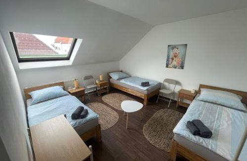 Enns Apartment | Casa Lauriacum - cozy apartment up to 8 guests