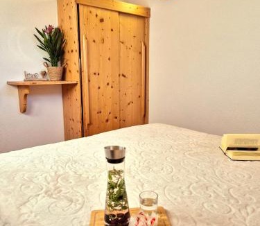 Kaunerberg Apartment | Apartments Amelie -2- Wallbox für E-Auto & Motorradgarage
