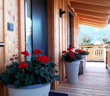 Saalfelden am Steinernen Meer Apartment | Apartchalet Sisi- including Saalfelden Leogang Card
