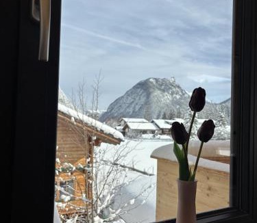 Leutasch Ski Chalet | NEUBAU Alpinstar Chalet - Luxus, Bergblick, Loipe, Sauna