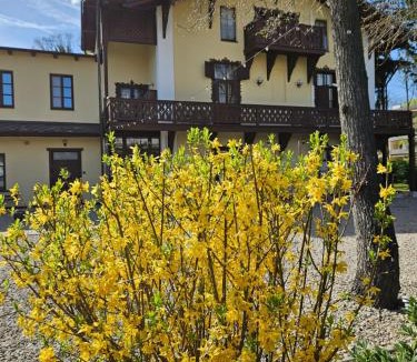 Baden Apartment | Villa Musik - apartments in historical Villa , Baden
