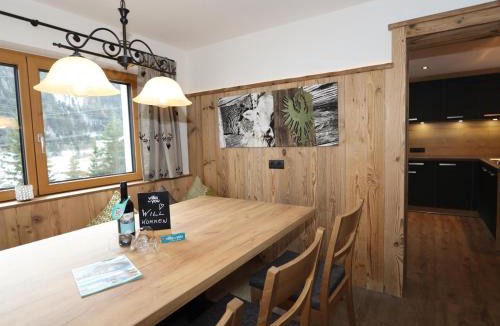 Pettneu am Arlberg House | Apart Loisa