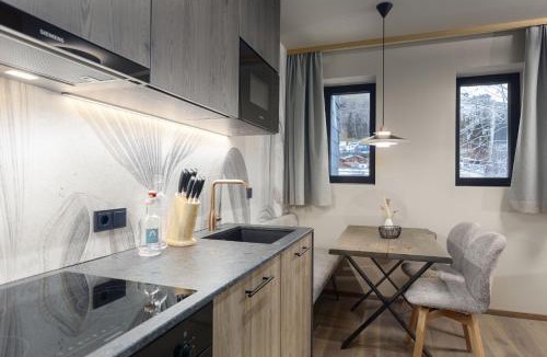Kaprun Apartment | Carpe Solem Kaprun Apartments 4-Sterne-Superior by ALPS RESORTS