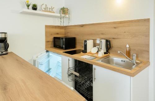 Sankt Polten Apartment | Klimatisiertes, ruhiges Apartment im Zentrum Sankt Pölten - TRAISEN